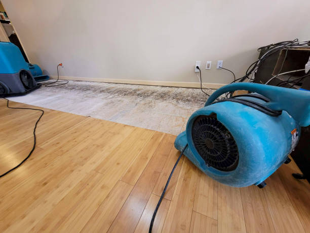 Professional Basement Flood Cleanup technician working in Atherton, CA